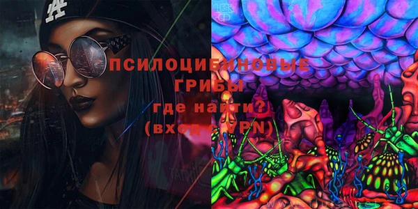 тгк Грязовец