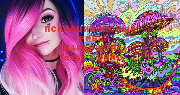 мдпв Губаха